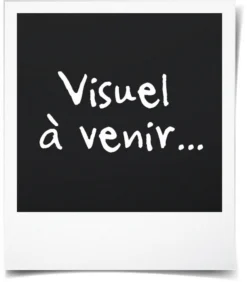 Ingenuity Baby Babywippe Cuddle Lamb Babywippen Wippen Schaukel Babywippe Babyschaukel Kinderschauel Elektrische Wippe Elektrowippe Räumungsverkauf -Babyprodukte Geschäft 17acac3ef4e78ca6edfda9c0412ab1d3