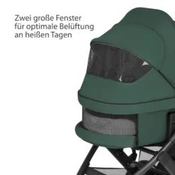 ABC Design Salsa 4 Air Kombikinderwagen Set - (G2) Kollektion 2023, Farbe Kinderwagen:Basil -Babyprodukte Geschäft 22d46cbdbd205f0191c6ab14344a035b