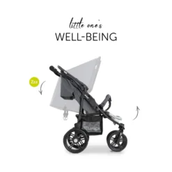 Hauck Roadster Duo SLX Grey/Silver -Babyprodukte Geschäft 4f66de29a0d76877b3746c46c17e63b8