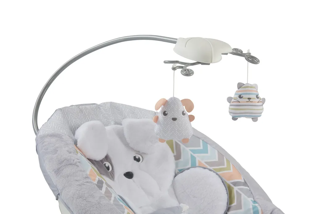 Fisher Price Fisher-Price Deluxe Babywippe Im Hundebaby Design, Moderne Baby-Ausstattung 4 Fisher Price Fisher-Price Deluxe Babywippe Im Hundebaby Design, Moderne Baby-Ausstattung – Bild 4