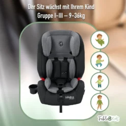 FableKids NALA Autokindersitz Autositz Kinderautositz Mit Isofix 9-36kg Gruppe 1+2+3 ECE Grau -Babyprodukte Geschäft ee17103f88d7c22da0214e86adcd6c73
